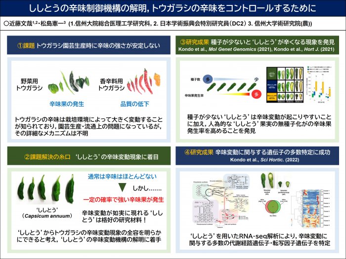 ししとうの辛味制御機構の解明、トウガラシの辛味をコントロールするために