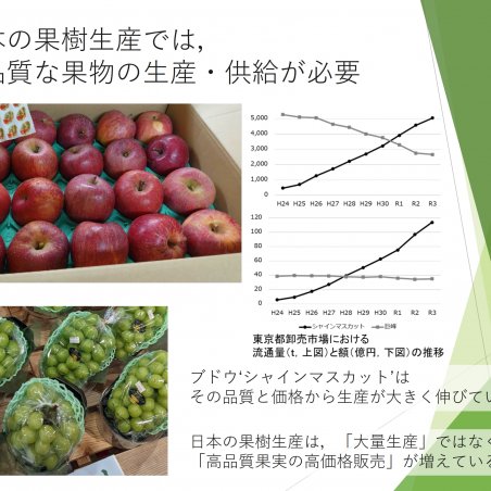 「美味しい果物の作り方」の解析を目指すイメージ2