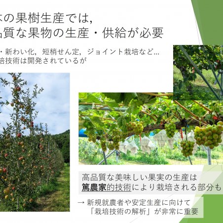 「美味しい果物の作り方」の解析を目指すイメージ3
