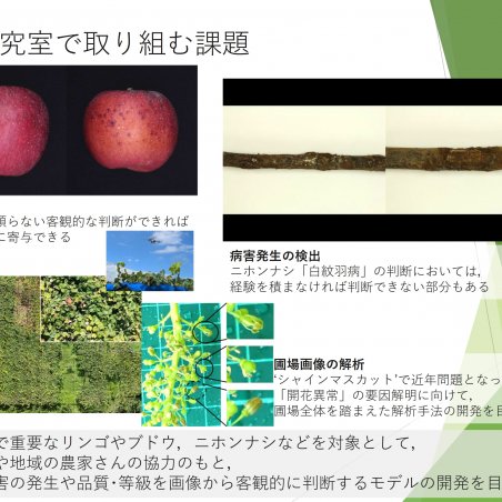 「美味しい果物の作り方」の解析を目指すイメージ6