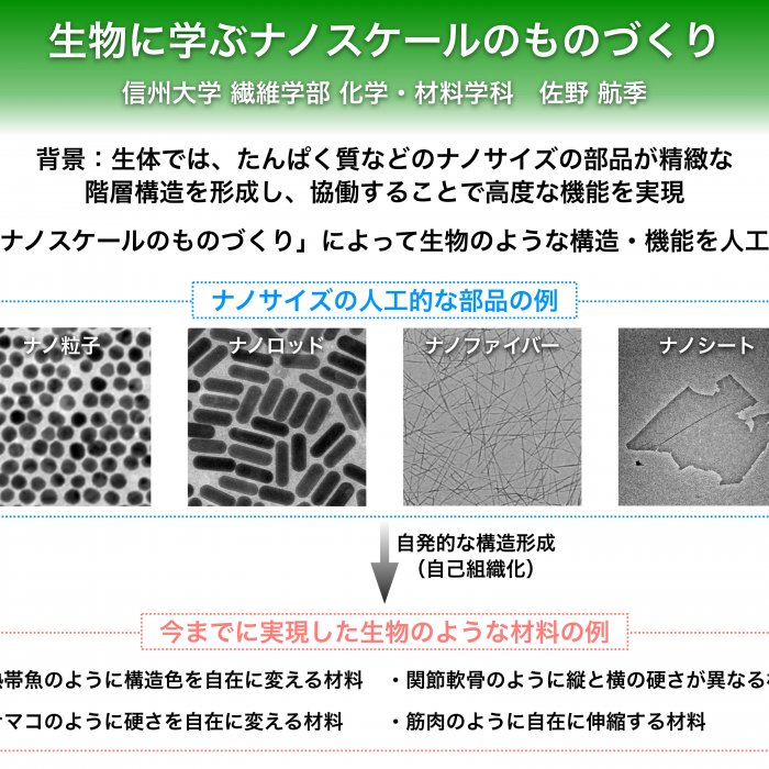 生物に学ぶナノスケールのものづくりイメージ1