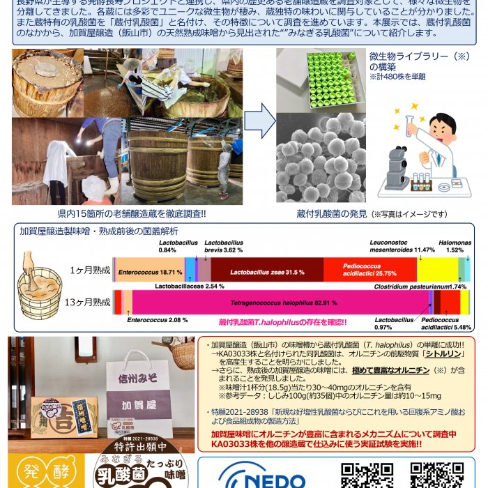 信州の老舗醸造蔵に宿る蔵付乳酸菌の発見と産業展開イメージ1