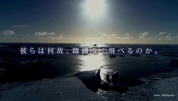 高機能性を誇る画期的な超極細繊維、ナノファイバーから広がる未来