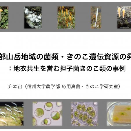 中部山岳地域の菌類・きのこ遺伝資源を発掘イメージ1