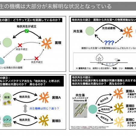 中部山岳地域の菌類・きのこ遺伝資源を発掘イメージ3