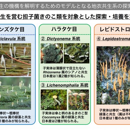 中部山岳地域の菌類・きのこ遺伝資源を発掘イメージ4