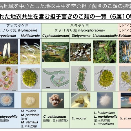 中部山岳地域の菌類・きのこ遺伝資源を発掘イメージ5