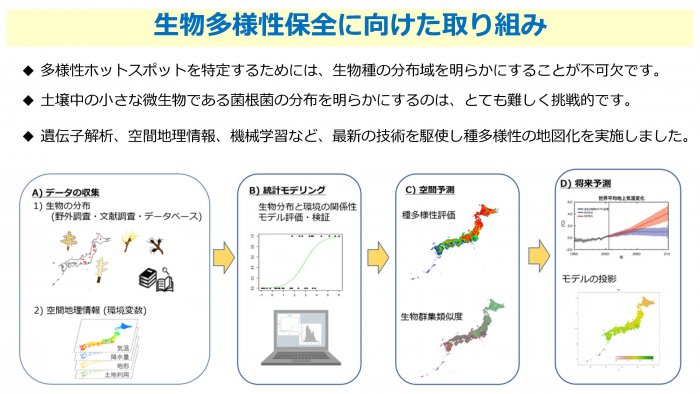 土壌微生物も含めた森林の生物多様性保全を目指す