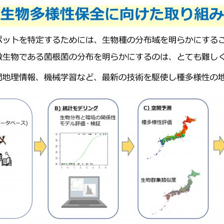 土壌微生物も含めた森林の生物多様性保全を目指すイメージ4