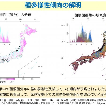 土壌微生物も含めた森林の生物多様性保全を目指すイメージ5