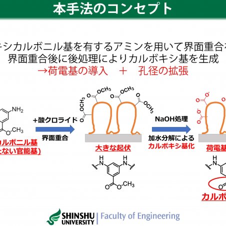 ナノ材料フリーで実現した高透水性・高分離性能のナノろ過膜イメージ4