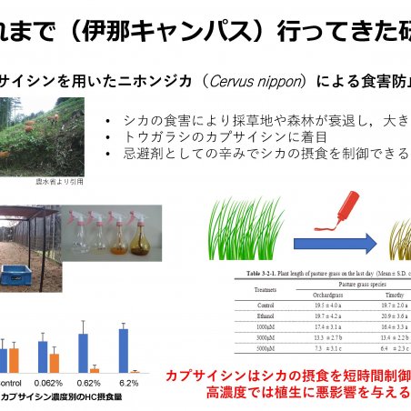 伊那から野辺山へ，高原ならではの研究紹介イメージ2