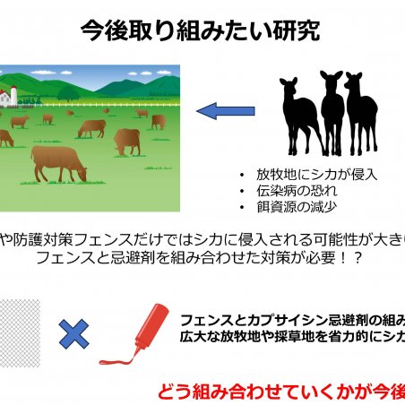 伊那から野辺山へ，高原ならではの研究紹介イメージ5