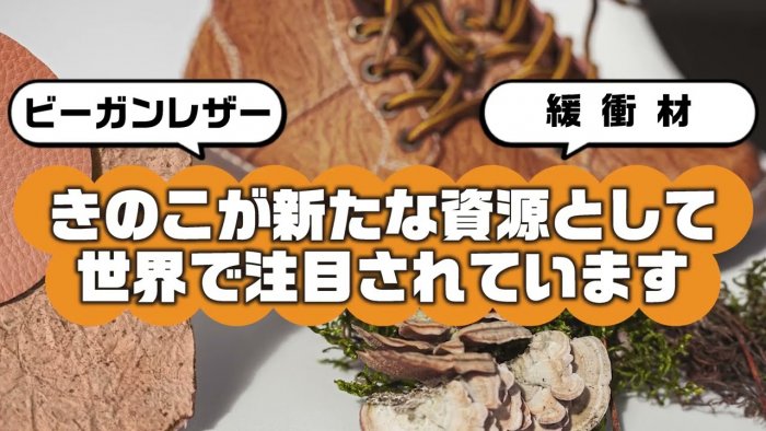 バイオエコノミー促進を目指したきのこからの新材料創出