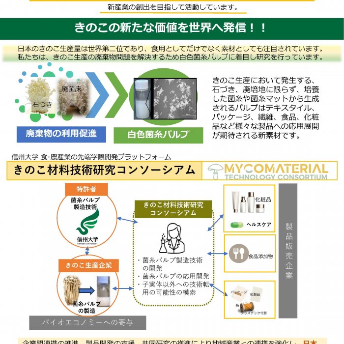 バイオエコノミー促進を目指したきのこからの新材料創出イメージ1