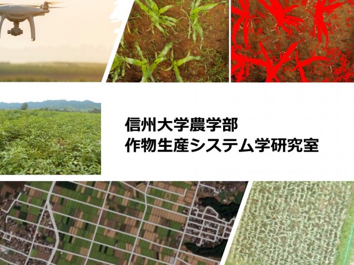 農業の生産効率を向上させるために