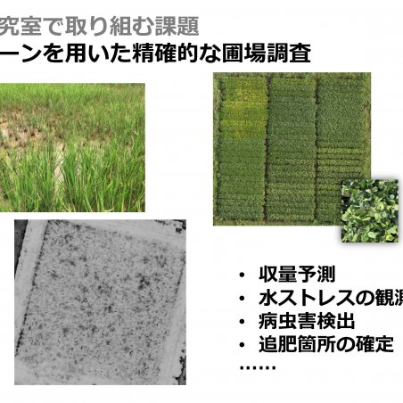 農業の生産効率を向上させるためにイメージ6