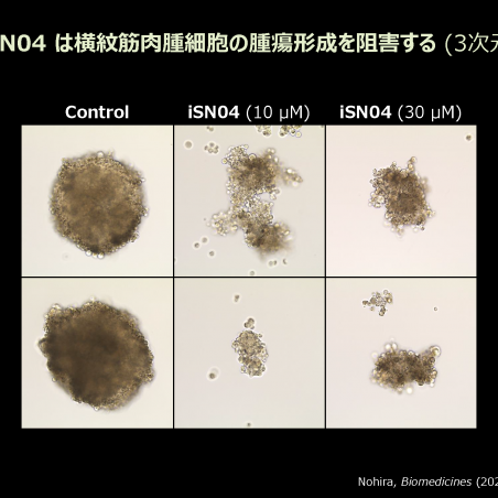 希少疾患に対する核酸医薬品の開発イメージ5
