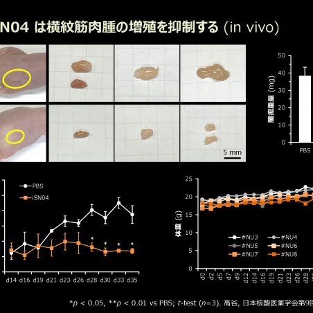 希少疾患に対する核酸医薬品の開発イメージ6