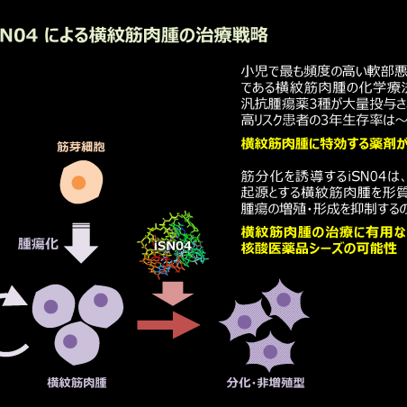 希少疾患に対する核酸医薬品の開発イメージ4