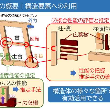 建築構造材料としての広葉樹材の利用イメージ4