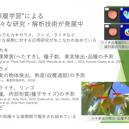 「美味しい果実の作り方」を解析したいイメージ5