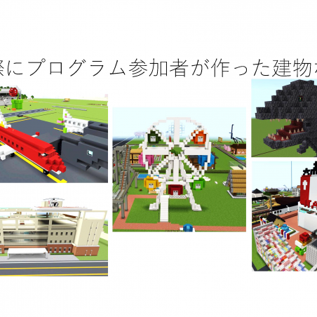 Minecraft®を用いた集団作業療法の有効性の評価イメージ5