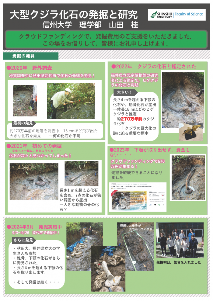 大型クジラ化石の発掘と研究