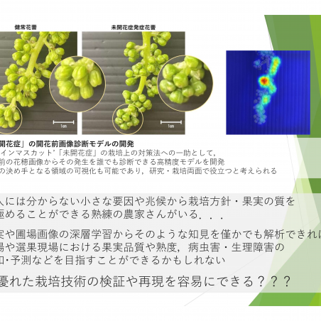 「美味しい果実の作り方」を解析したいイメージ7