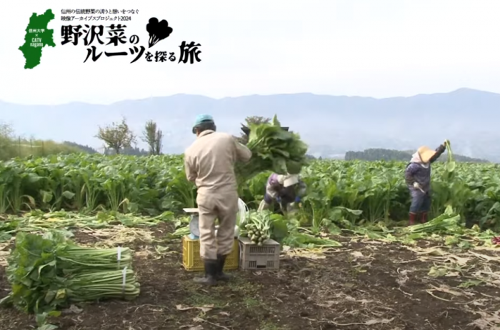 信州大学×長野県ケーブルテレビ協議会 「信州の伝統野菜 野沢菜のルーツを探る旅」