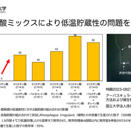 土づくりのためのアーバスキュラー菌根菌の培養技術イメージ8