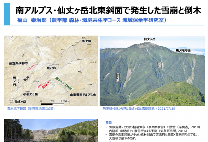 南アルプス・仙丈ヶ岳北東斜面で発生した雪崩と倒木