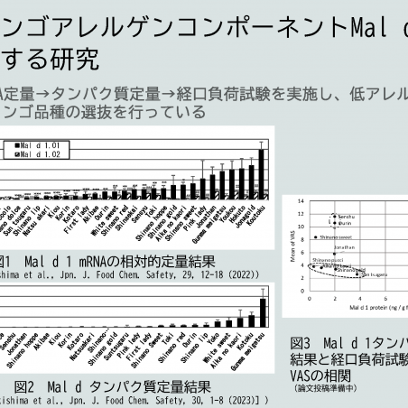アレルギー＋防災→誰もが安心して暮らせる社会にイメージ3
