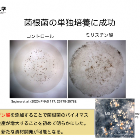 土づくりのためのアーバスキュラー菌根菌の培養技術イメージ5