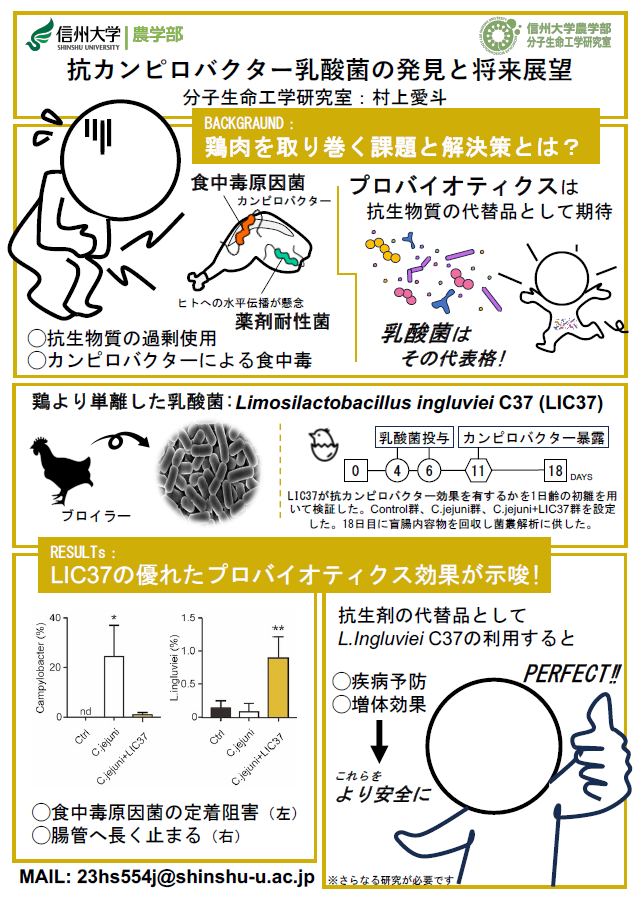 抗カンピロバクター乳酸菌の発見と将来展望