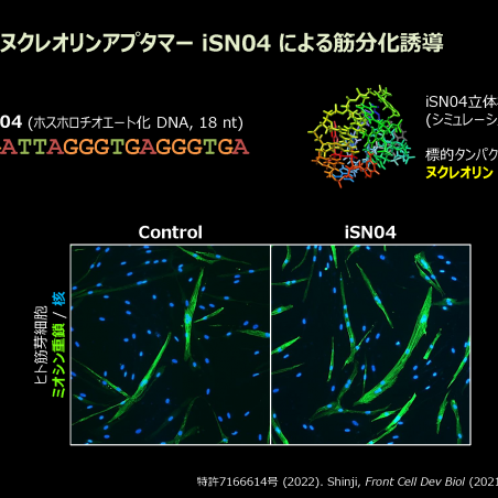 希少疾患に対する核酸医薬品の開発イメージ2