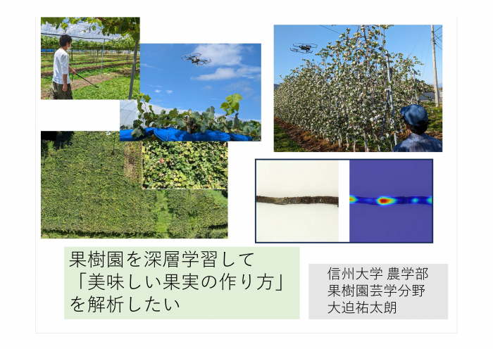 「美味しい果実の作り方」を解析したい