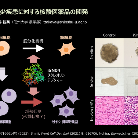 希少疾患に対する核酸医薬品の開発イメージ1