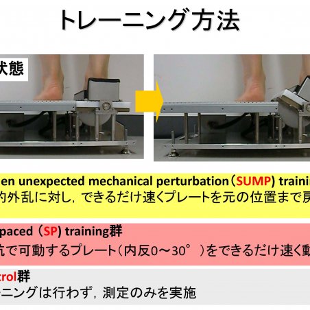 足関節捻挫の予防を目的とした反応性の測定・トレーニングシステムの開発イメージ6