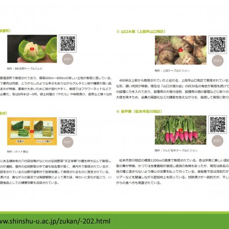 信州の伝統野菜を映像で残す－映像アーカイブスプロジェクトイメージ3