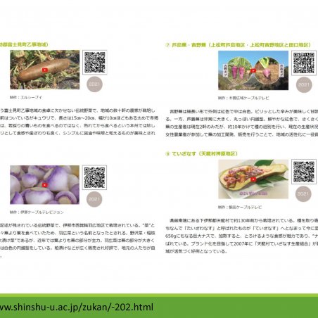 信州の伝統野菜を映像で残す－映像アーカイブスプロジェクトイメージ4