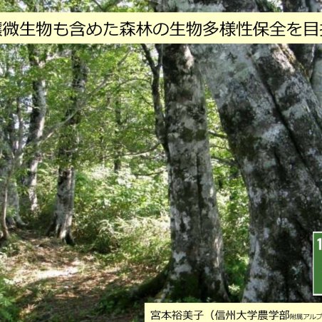 土壌微生物も含めた森林の生物多様性保全を目指すイメージ1