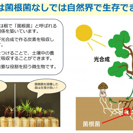 土壌微生物も含めた森林の生物多様性保全を目指すイメージ2