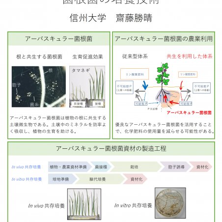 土づくりのためのアーバスキュラー菌根菌の培養技術イメージ1