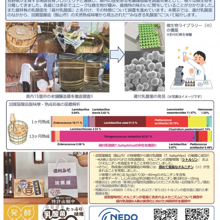 信州の老舗醸造蔵に宿る蔵付乳酸菌の発見と産業展開イメージ1