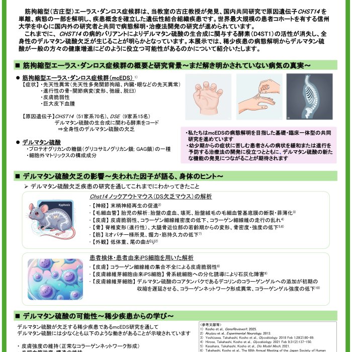 筋拘縮型（古庄型）EDS研究から見えるデルマタン硫酸の可能性イメージ1