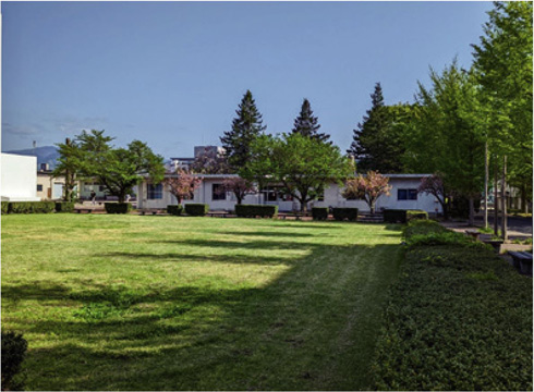 nagano eng current garden.JPG