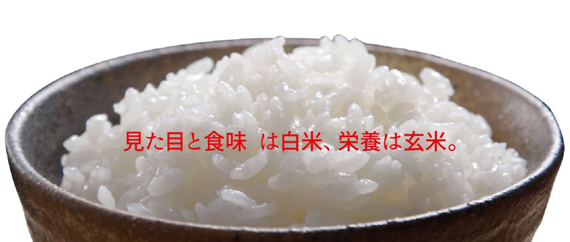 rice.JPG_1.jpg