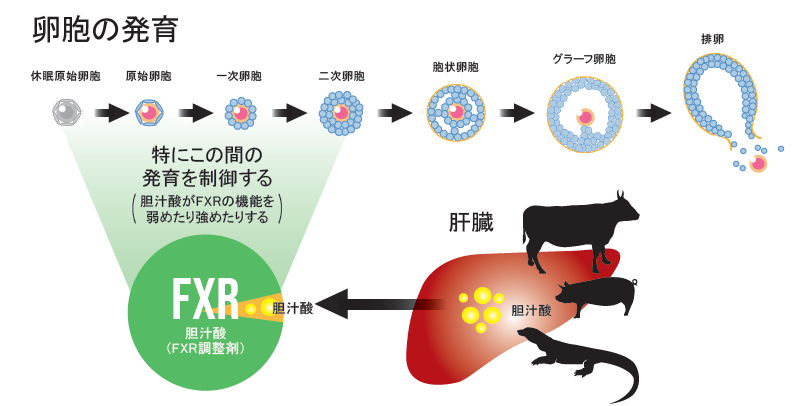 ed8eacf90ba645ad0b5bd5bbc24b9fff.png