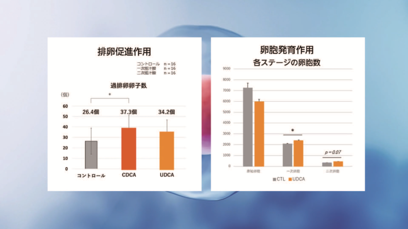 graph1.png